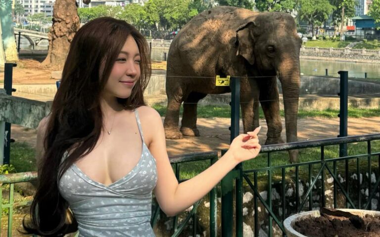 Nhi Kiều tạo dáng trong chuyến đi sở thú