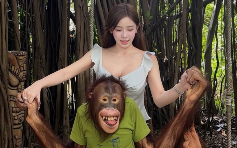 Thiên Di tạo dáng trong không gian xanh của một khu sở thú