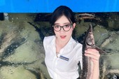 Người dùng theo dõi nội dung livestream trên điện thoại