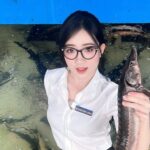 Cô Giáo Đầm trong trang phục công sở với áo sơ mi trắng và chân váy tối màu