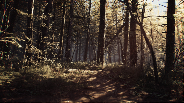 Một phân cảnh căng thẳng trong hành trình của Blair Witch