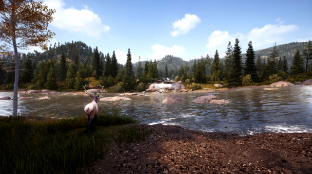 Hệ thống vũ khí và trang bị của Hunting Simulator 2