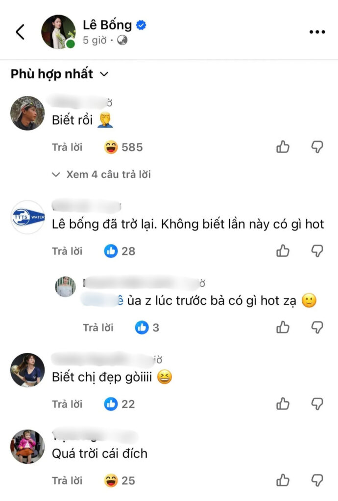 Bài đăng của Lê Bống nhận nhiều bình luận trái chiều