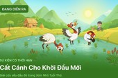 Gói xôi và thúng xôi được minh họa bằng các điểm ảnh nhiều màu